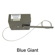 BLUE GIANT